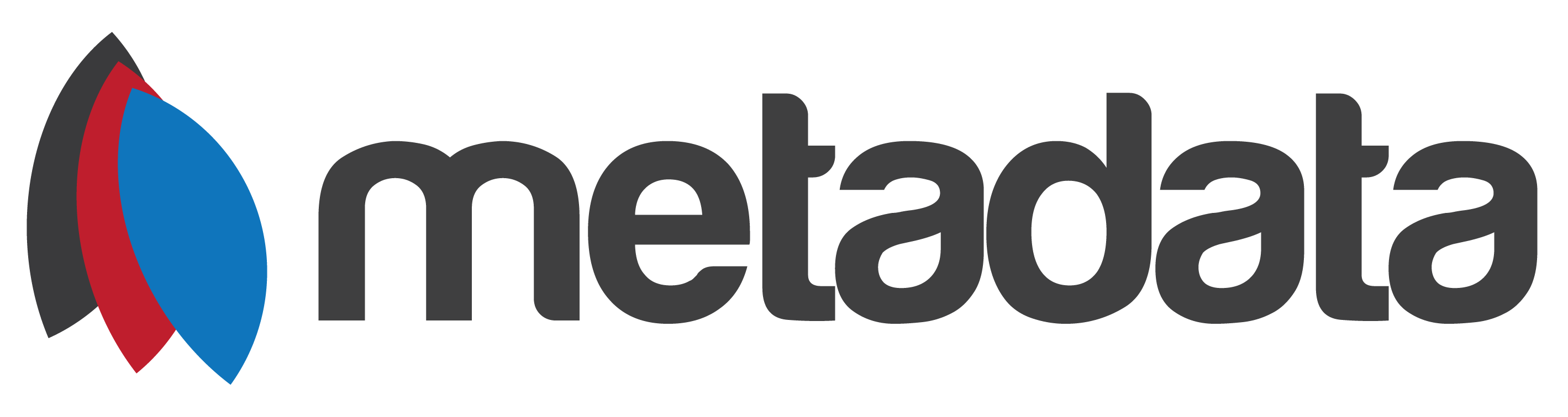 Metadata Logo with text